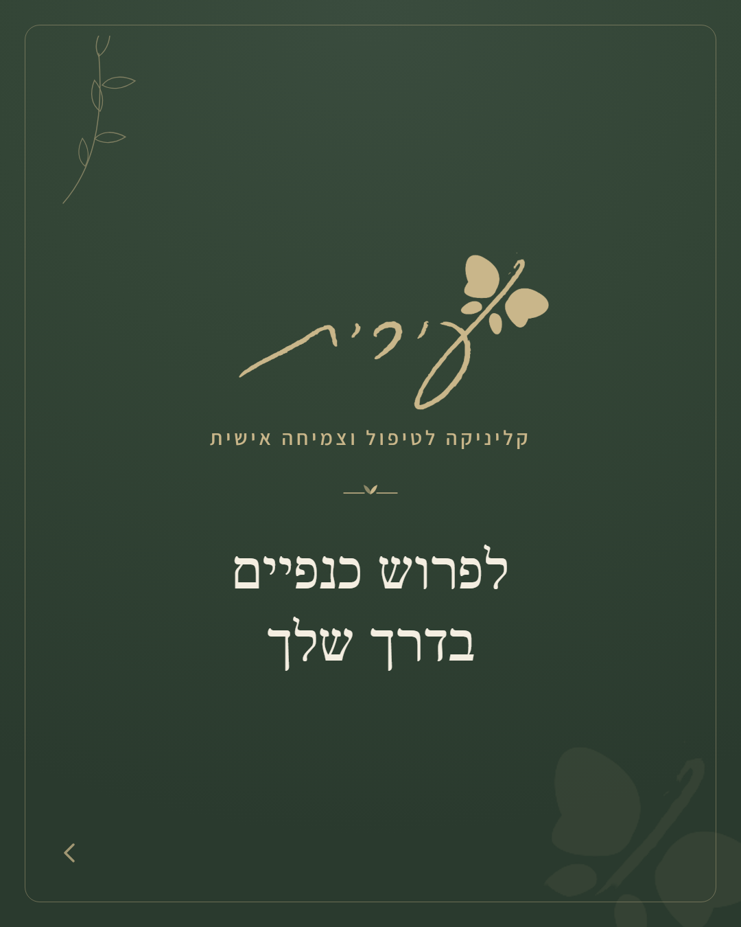 שקף 1 — לפרוש כנפיים בדרך שלך